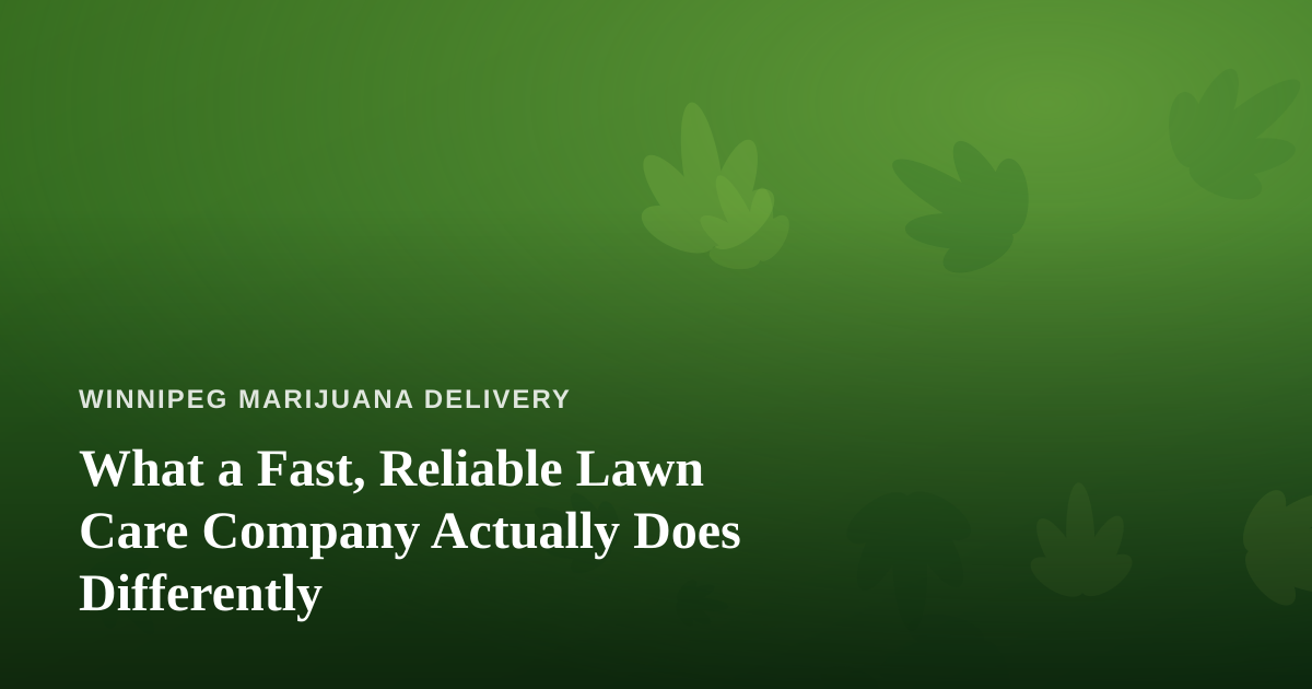 What a Fast, Reliable Lawn Care Company Actually Does Differently