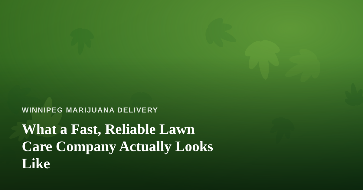 What a Fast, Reliable Lawn Care Company Actually Looks Like