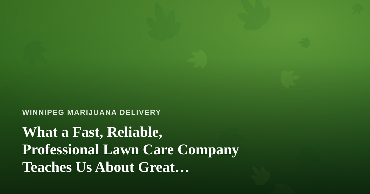 What a Fast, Reliable, Professional Lawn Care Company Teaches Us About Great Delivery Service